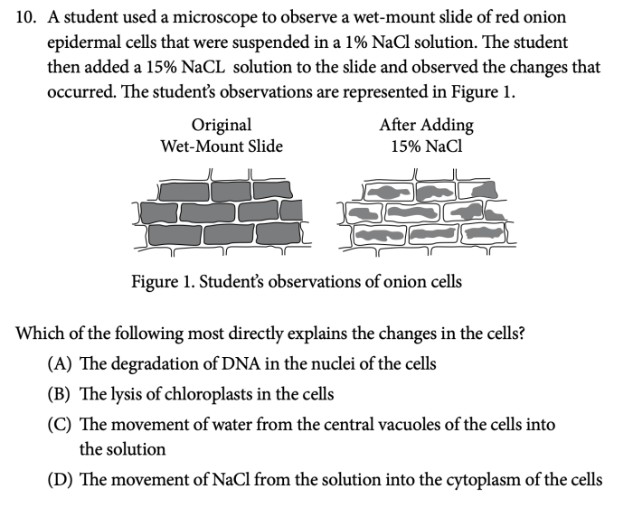 Ap bio 2020 practice exam 1 mcq