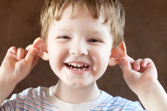 Ear human ears kids facts body fun children information hearing interesting inside common sciencekids nz