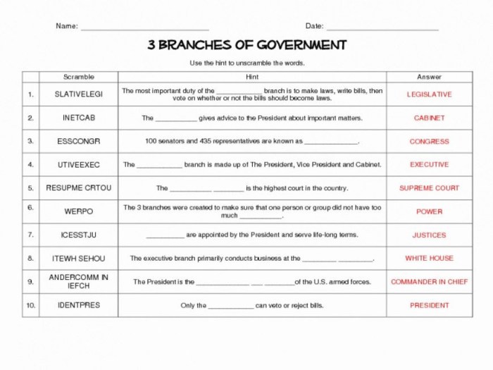 Anatomy of the constitution worksheet