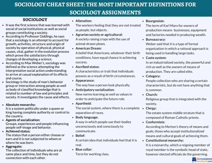 Social work theories cheat sheet