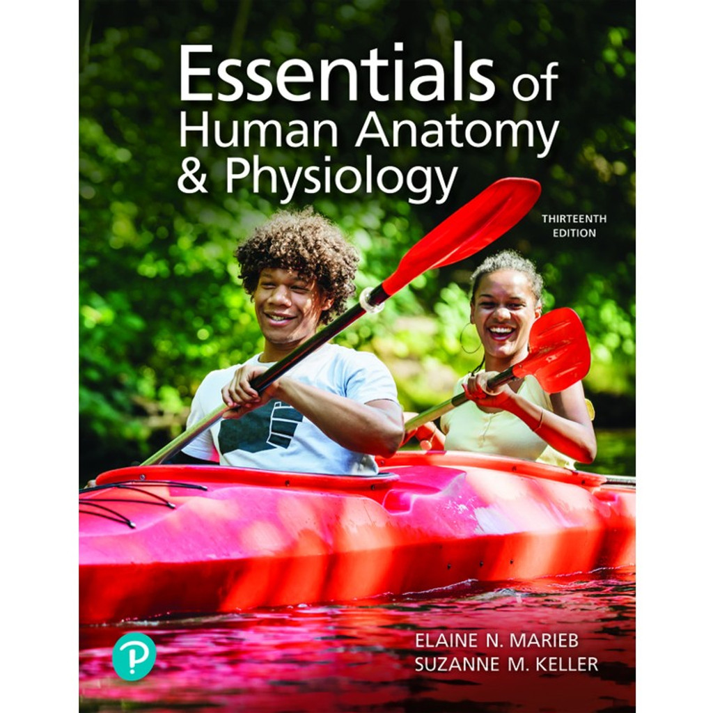 Essentials of human anatomy and physiology 13th edition