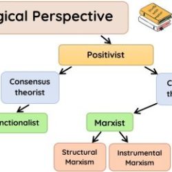 Match each theoretical perspective to the corresponding approach to outsourcing